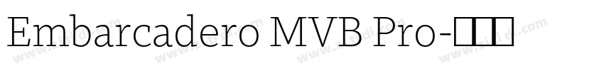 Embarcadero MVB Pro字体转换